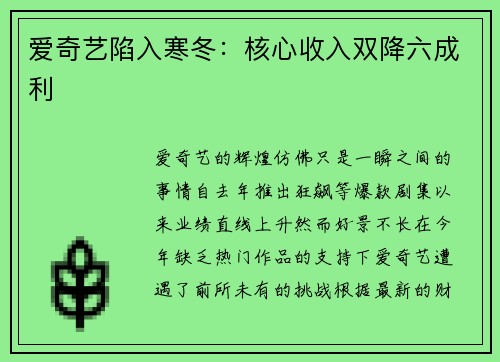 爱奇艺陷入寒冬:核心收入双降六成利